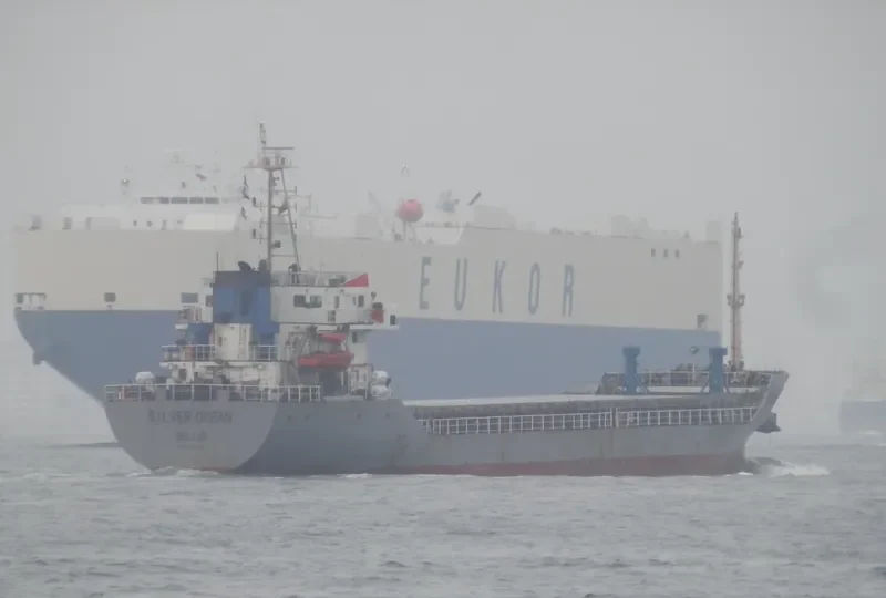 SILVER OCEAN Bulk Carrier IMO 9298430 photo 5
