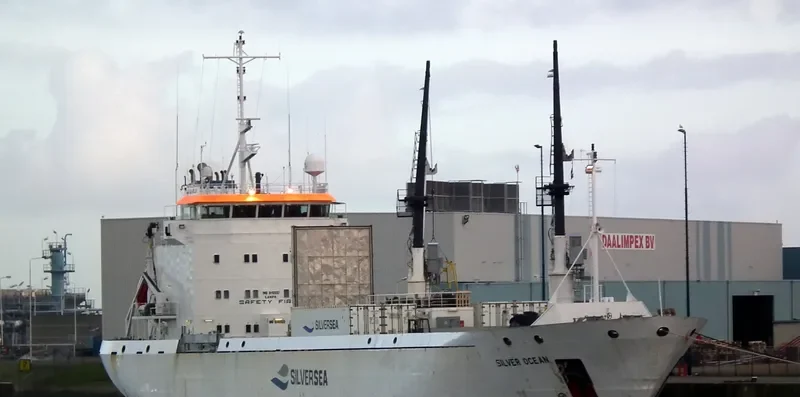 SILVER OCEAN Bulk Carrier IMO 9298430 photo 8