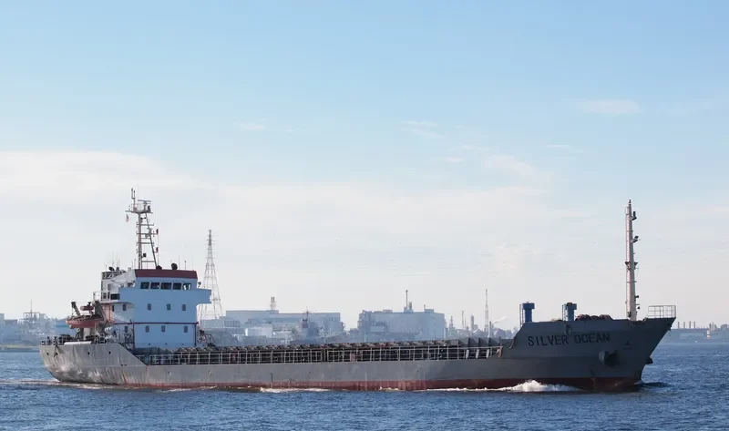 SILVER OCEAN Bulk Carrier IMO 9298430 photo 9