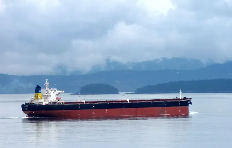 TIAN LU HAI Bulk Carrier IMO 9298480 photo 2