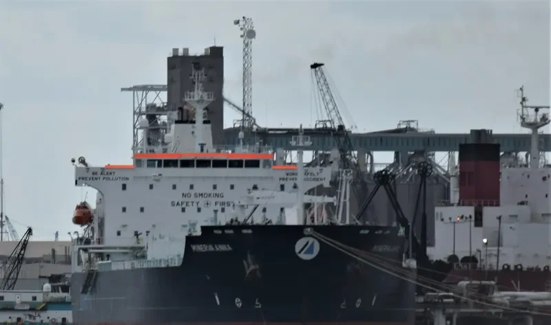 MINERVA ANNA Tanker IMO 9298507