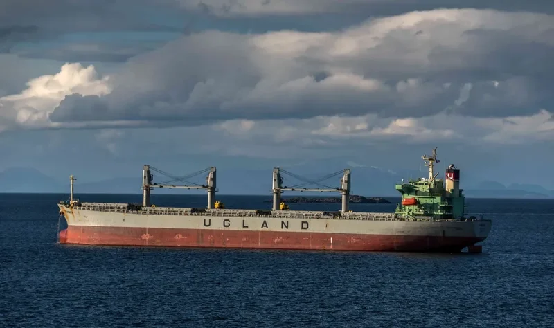 WORLDERA 6 Bulk Carrier IMO 9298519 photo 2