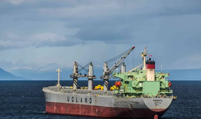 WORLDERA 6 Bulk Carrier IMO 9298519 photo 3