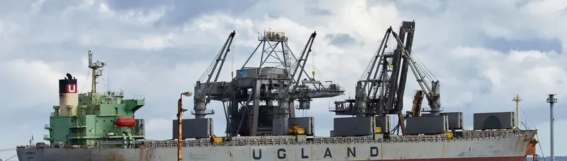 WORLDERA 6 Bulk Carrier IMO 9298519 photo 4