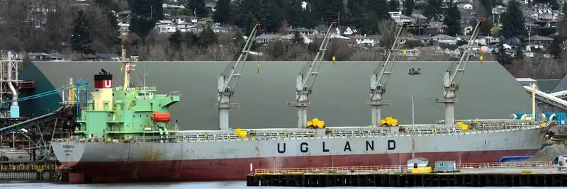 WORLDERA 6 Bulk Carrier IMO 9298519 photo 7