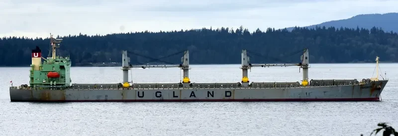 WORLDERA 6 Bulk Carrier IMO 9298519 photo 9