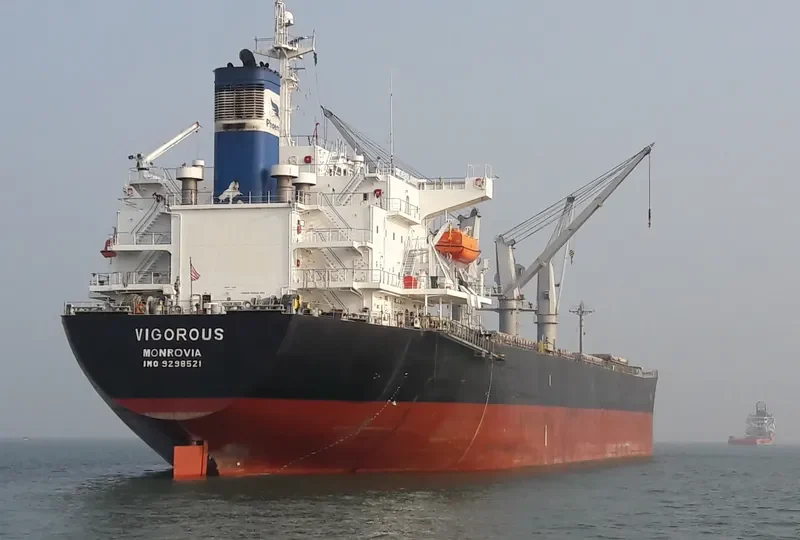 VIGOROUS Bulk Carrier IMO 9298521