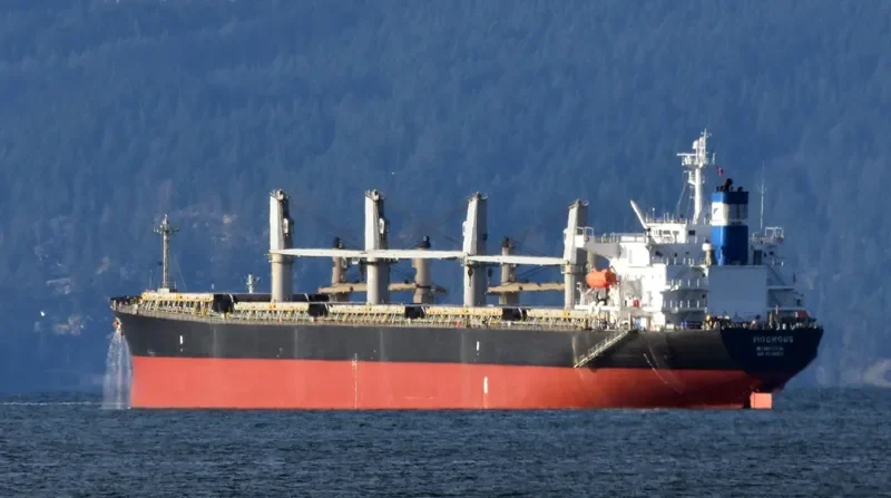 VIGOROUS Bulk Carrier IMO 9298521 photo 5