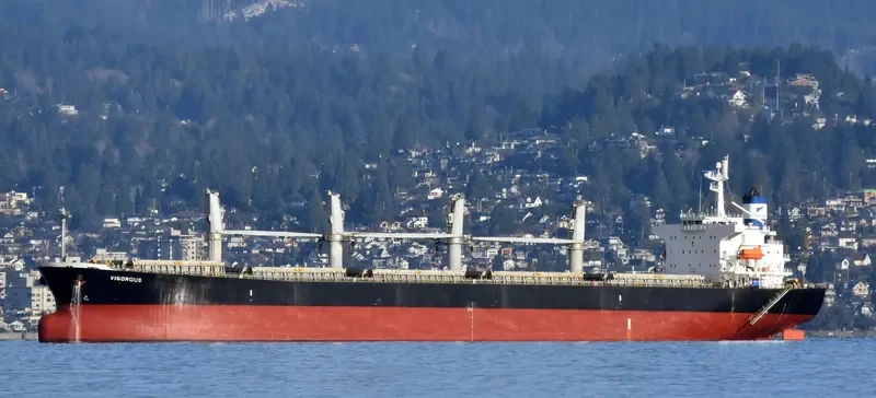 VIGOROUS Bulk Carrier IMO 9298521 photo 6