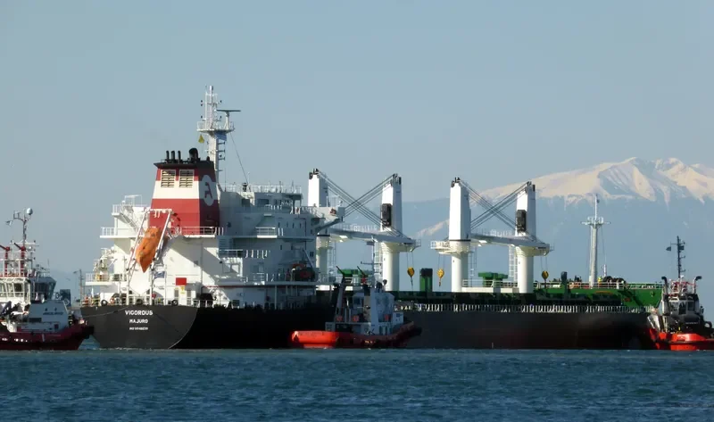 VIGOROUS Bulk Carrier IMO 9298521 photo 7