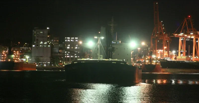 VIGOROUS Bulk Carrier IMO 9298521 photo 9