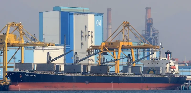 THOR INSUVI Bulk Carrier IMO 9298533