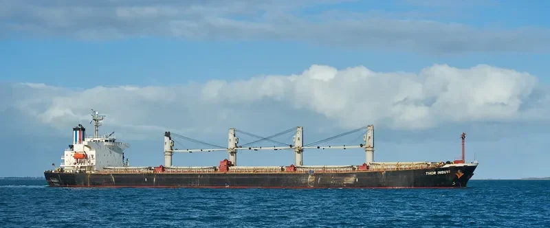 THOR INSUVI Bulk Carrier IMO 9298533 photo 4