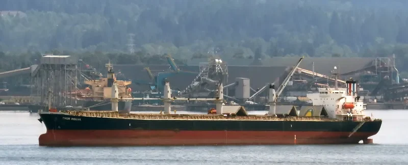 THOR INSUVI Bulk Carrier IMO 9298533 photo 5