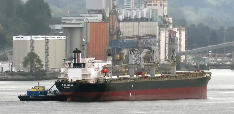 THOR INSUVI Bulk Carrier IMO 9298533 photo 7