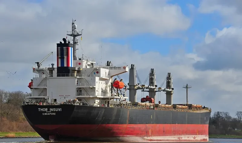 THOR INSUVI Bulk Carrier IMO 9298533 photo 9