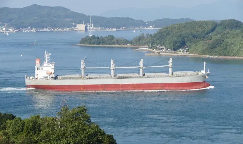 VINCA Bulk Carrier IMO 9298557 photo 3