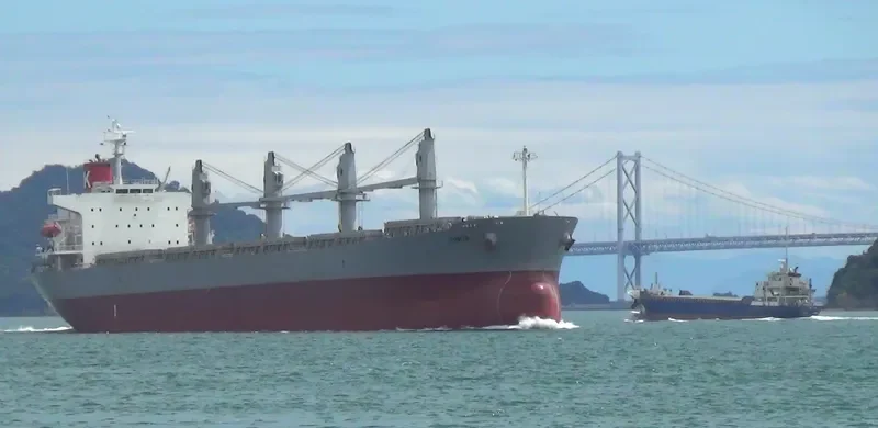 VINCA Bulk Carrier IMO 9298557 photo 4
