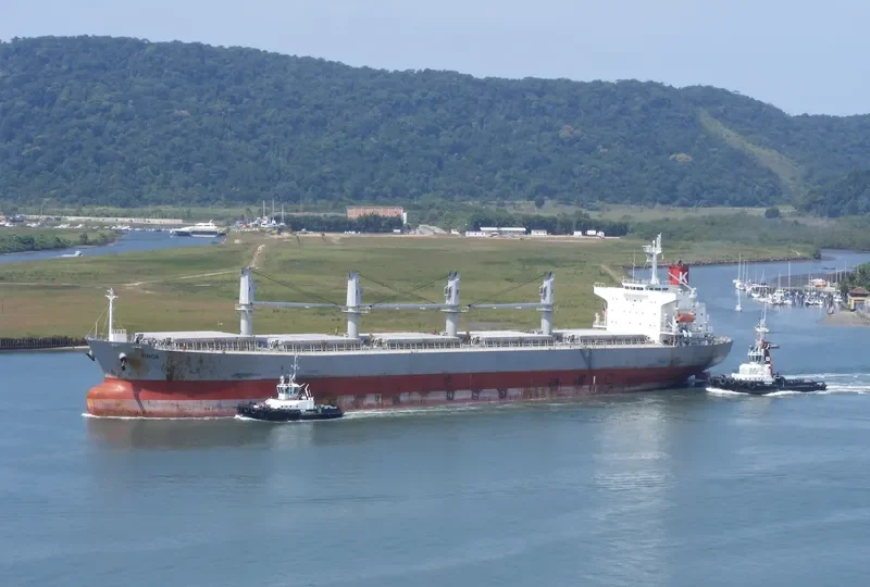 VINCA Bulk Carrier IMO 9298557 photo 9