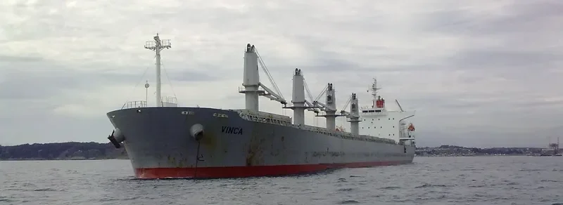 VINCA Bulk Carrier IMO 9298557 photo 10