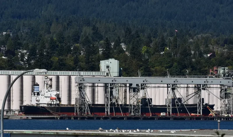 MAKIKI Bulk Carrier IMO 9298569