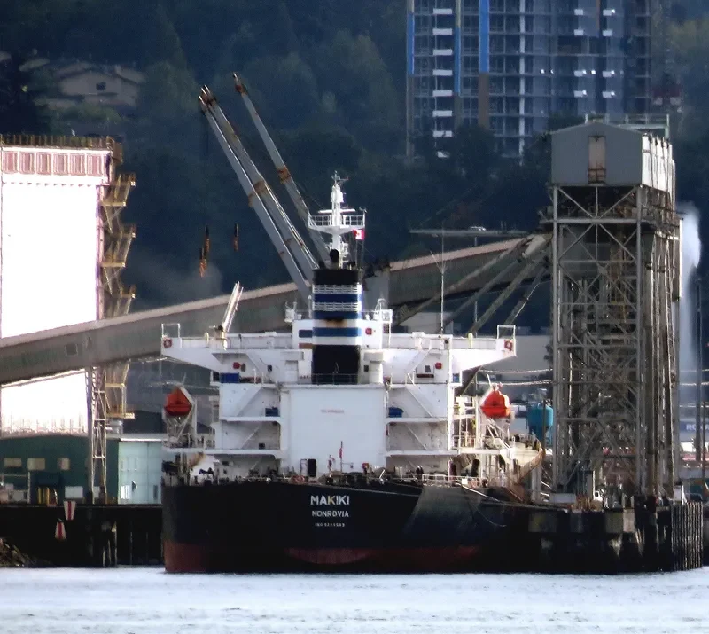 MAKIKI Bulk Carrier IMO 9298569 photo 2