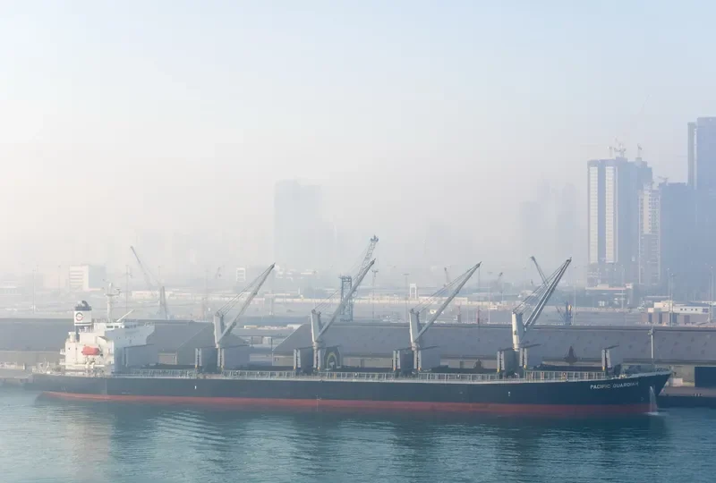 MAKIKI Bulk Carrier IMO 9298569 photo 5