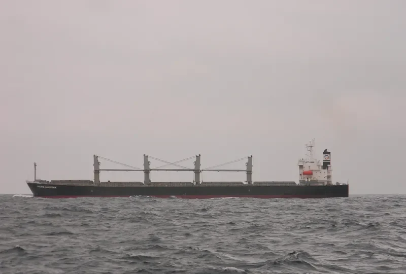 MAKIKI Bulk Carrier IMO 9298569 photo 8