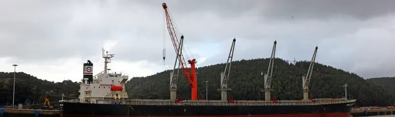 MAKIKI Bulk Carrier IMO 9298569 photo 9