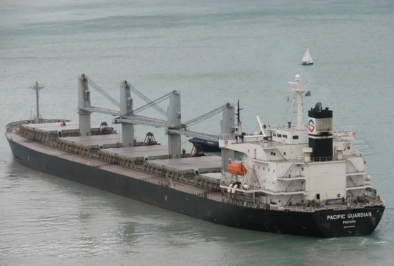 MAKIKI Bulk Carrier IMO 9298569 photo 10