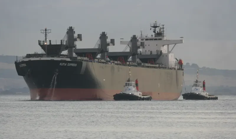 KUTAI EXPRESS Bulk Carrier IMO 9298923 photo 2