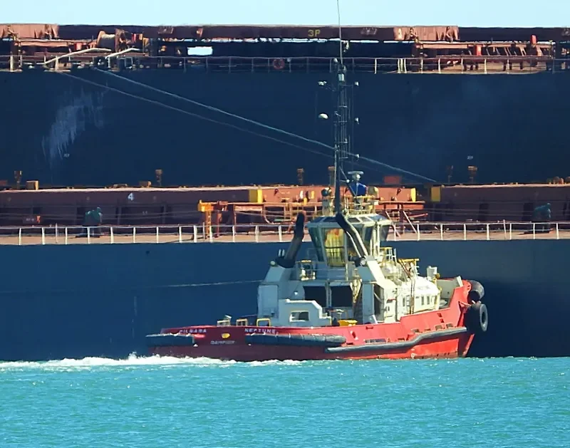 PILBARA NEPTUNE General Cargo IMO 9298947 photo 6