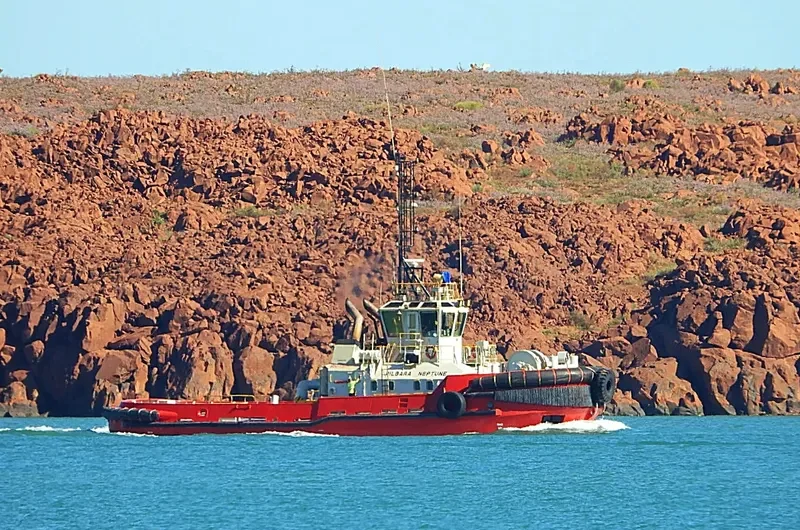 PILBARA NEPTUNE General Cargo IMO 9298947 photo 7