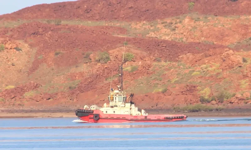 PILBARA VULCAN General Cargo IMO 9298959 photo 4
