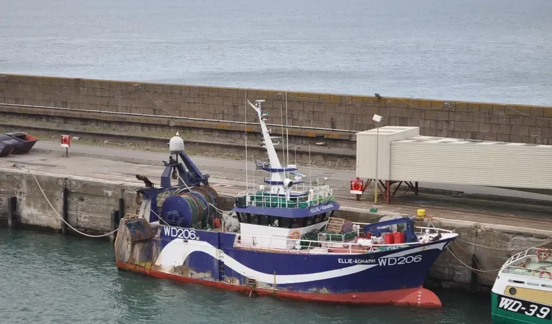 ELLIE ADHAMH General Cargo IMO 9299238 photo 4