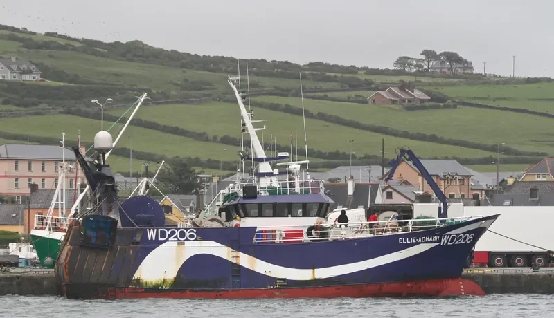 ELLIE ADHAMH General Cargo IMO 9299238 photo 5