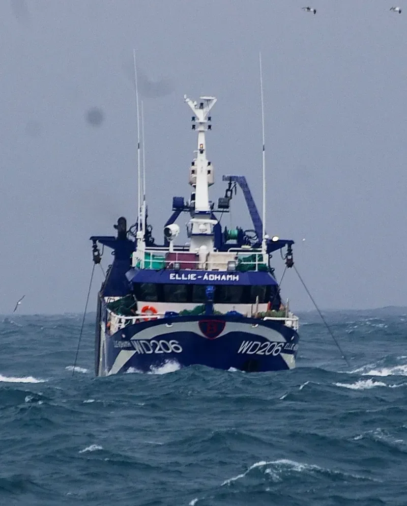 ELLIE ADHAMH General Cargo IMO 9299238 photo 10