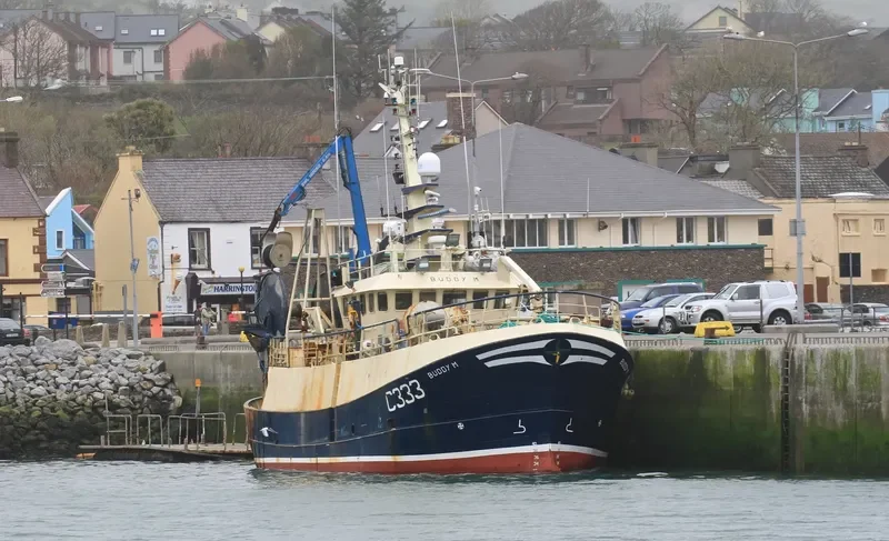 BUDDY M General Cargo IMO 9299240 photo 8