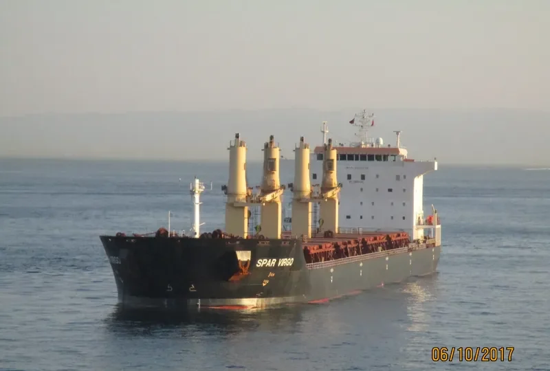 SPAR VIRGO Bulk Carrier IMO 9299276