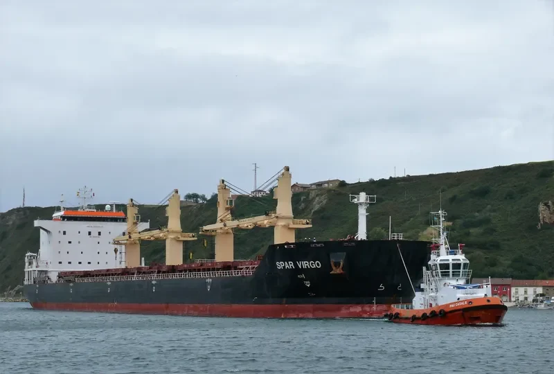 SPAR VIRGO Bulk Carrier IMO 9299276 photo 2