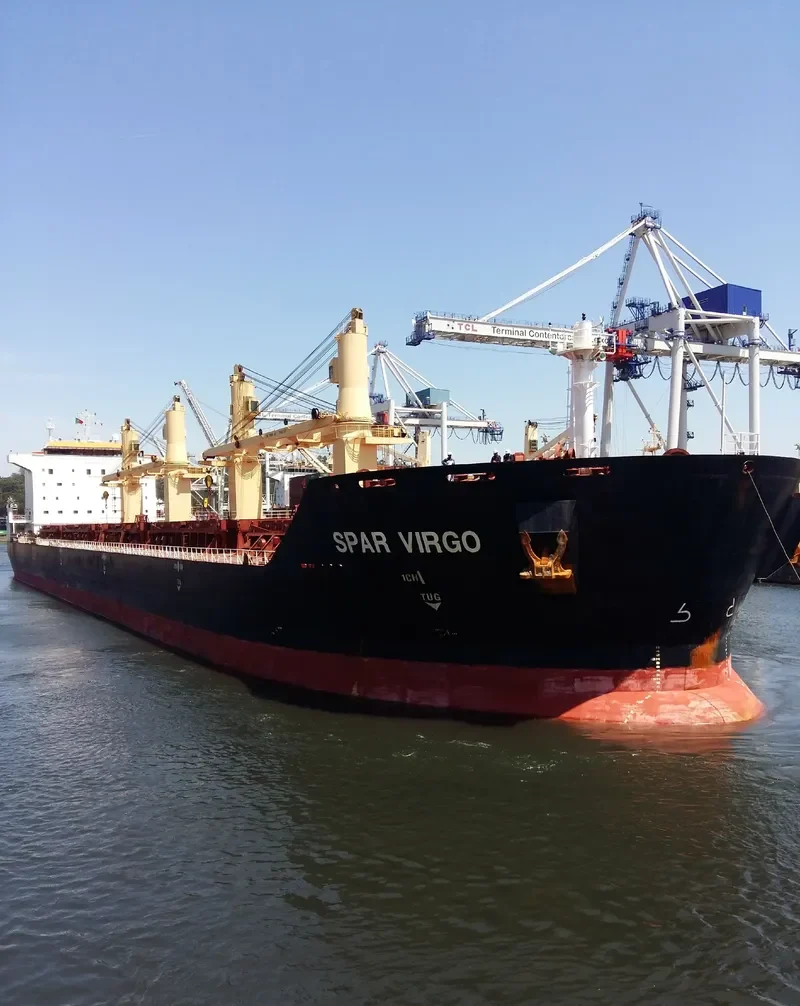 SPAR VIRGO Bulk Carrier IMO 9299276 photo 3