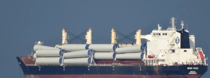 SPAR VIRGO Bulk Carrier IMO 9299276 photo 7