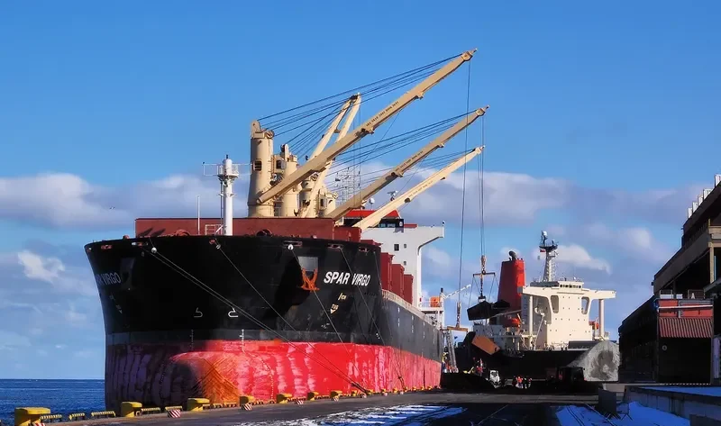 SPAR VIRGO Bulk Carrier IMO 9299276 photo 10