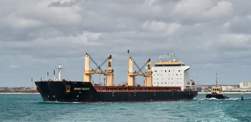 SPAR TAURUS Bulk Carrier IMO 9299288