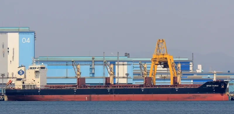 SPAR TAURUS Bulk Carrier IMO 9299288 photo 3