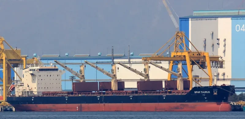 SPAR TAURUS Bulk Carrier IMO 9299288 photo 4
