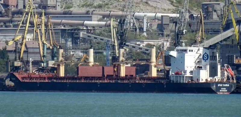 SPAR TAURUS Bulk Carrier IMO 9299288 photo 9