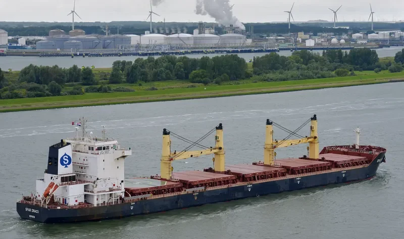 LIANSON DYNAMIC Bulk Carrier IMO 9299305