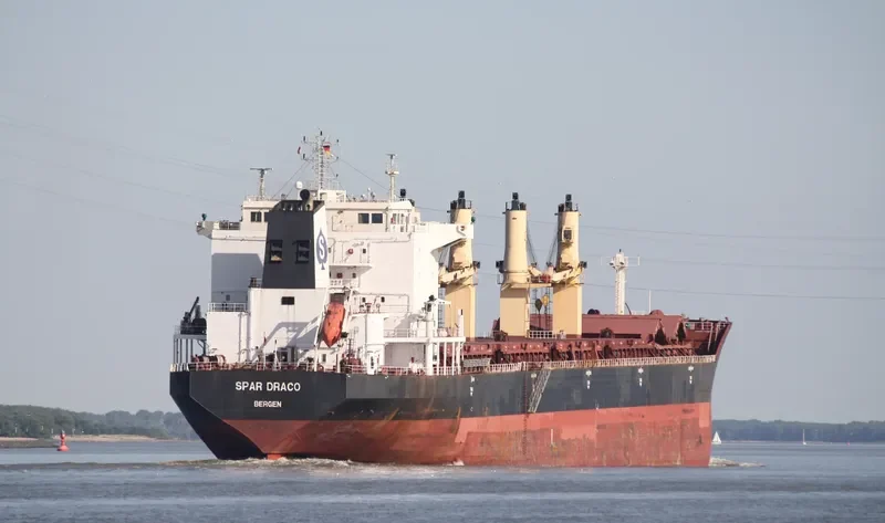 LIANSON DYNAMIC Bulk Carrier IMO 9299305 photo 2
