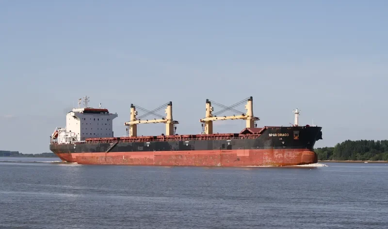 LIANSON DYNAMIC Bulk Carrier IMO 9299305 photo 3